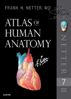 کتاب  Atlas of Human Anatomy Netter offset - full color-نویسندهFrank H. Netter